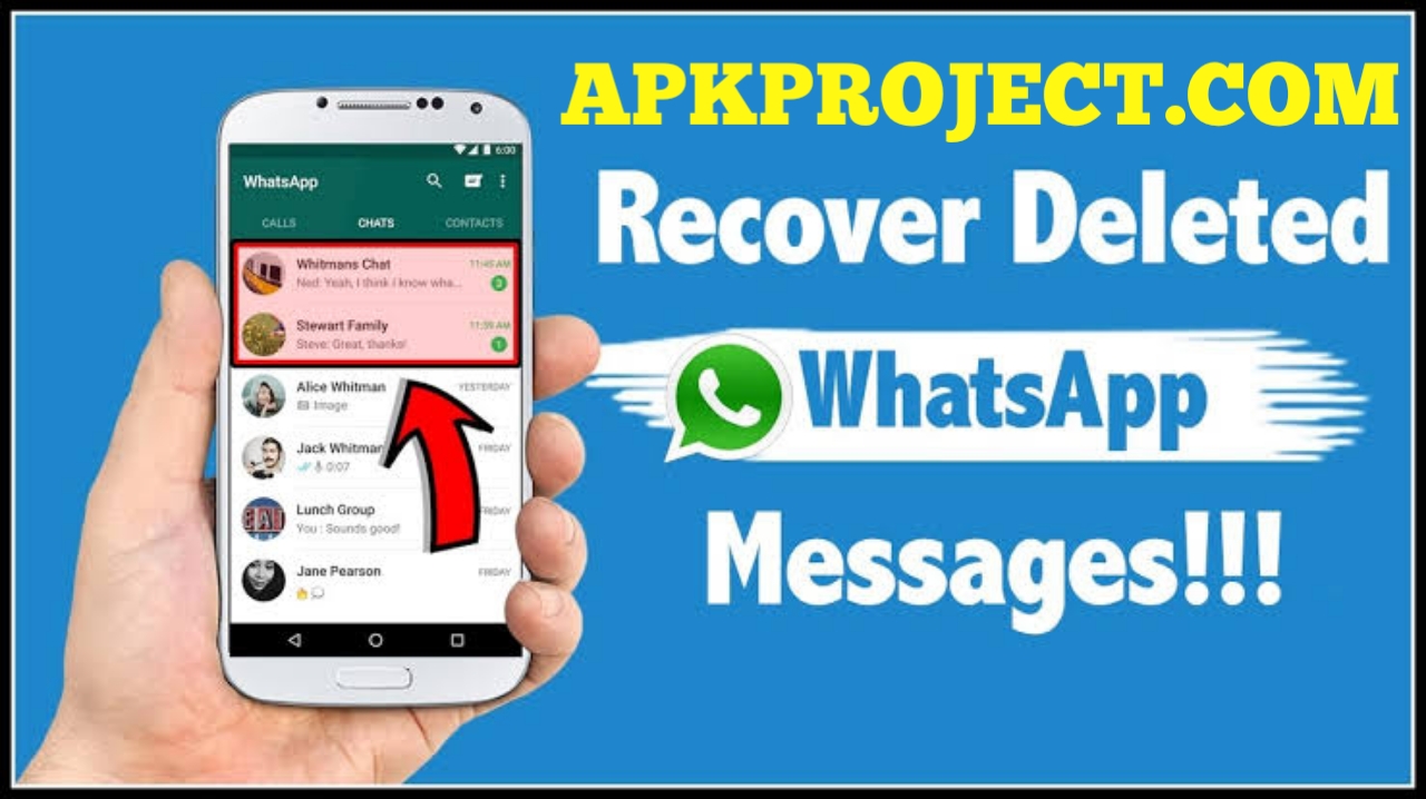 How to Recover Deleted WhatsApp Things